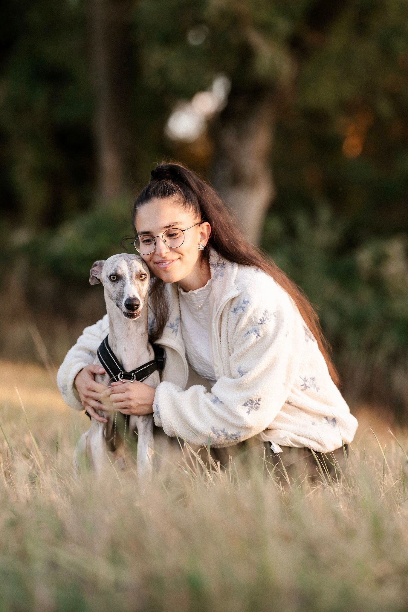 Hundefotoshooting im Wald auf einer Wiese in Gersthofen mit Frauchen Windhund