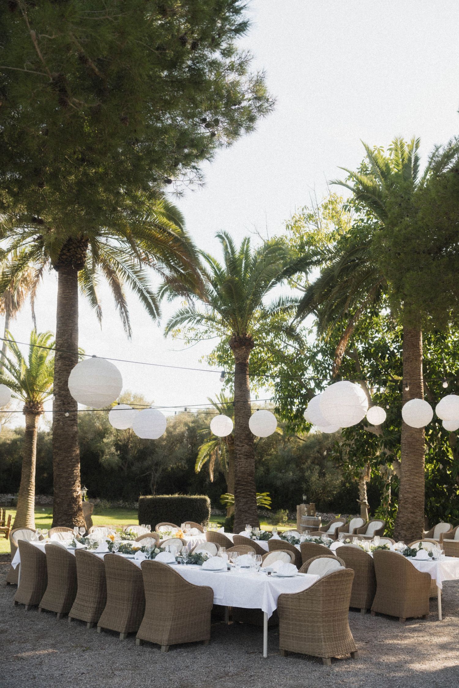 Outdoor wedding reception under palm trees with white lantern string lights and wicker chairs.