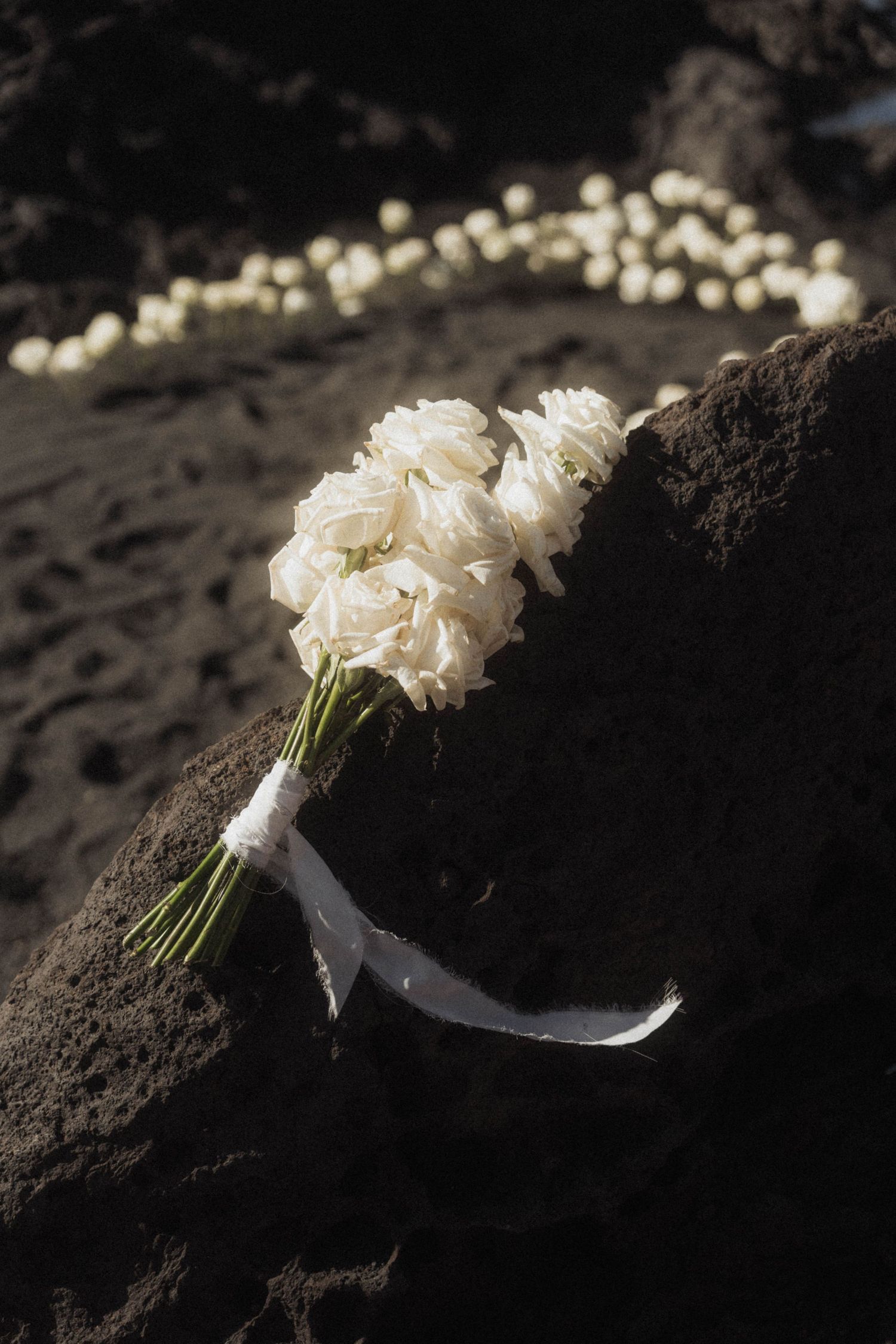 Elegant white rose bridal bouquet tied with ribbon resting on dark volcanic rock at beach wedding.
