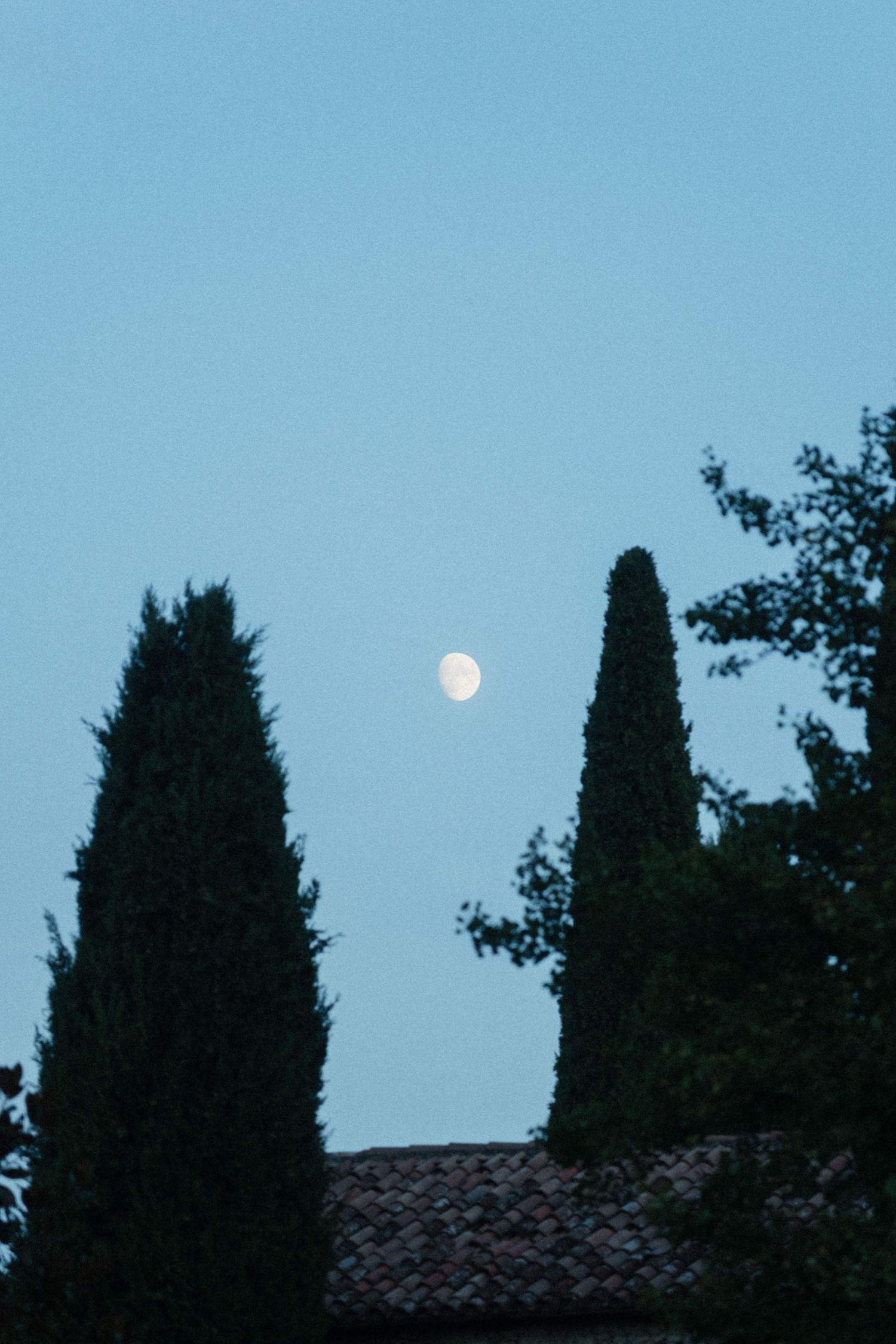 Full moon rising between tall cypress trees at dusk over rustic tiled roof in evening sky.