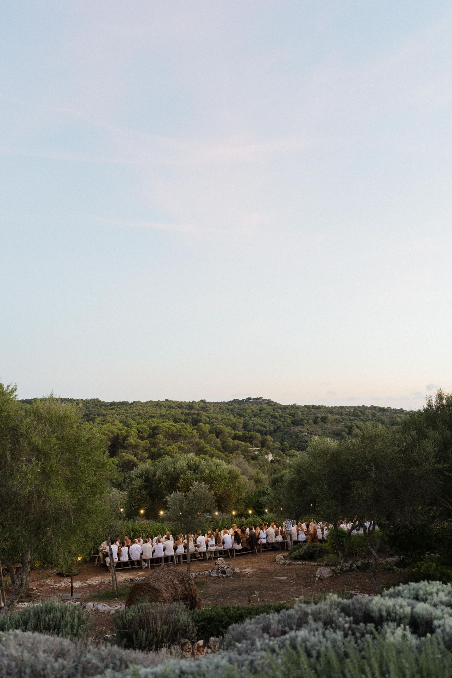 Guests in white seated at a long outdoor dinner table under string lights, set among olive trees and rolling green hills at dusk.