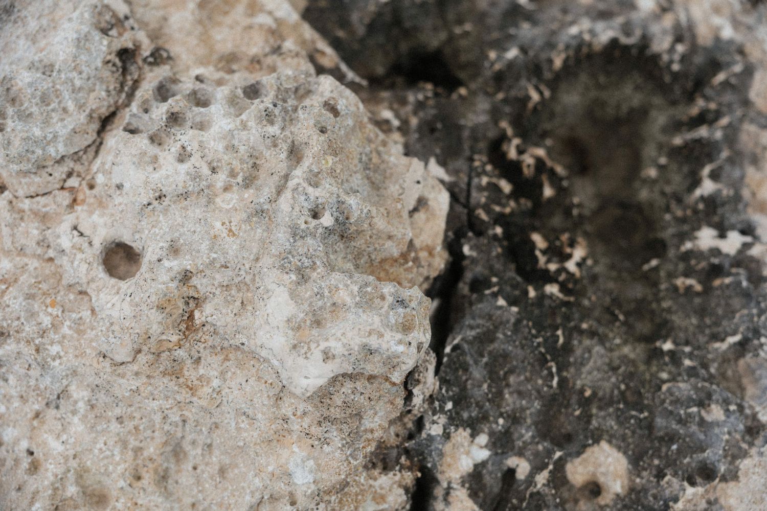Close-up of rough textured rock surface with pitted gray and dark stone formations.