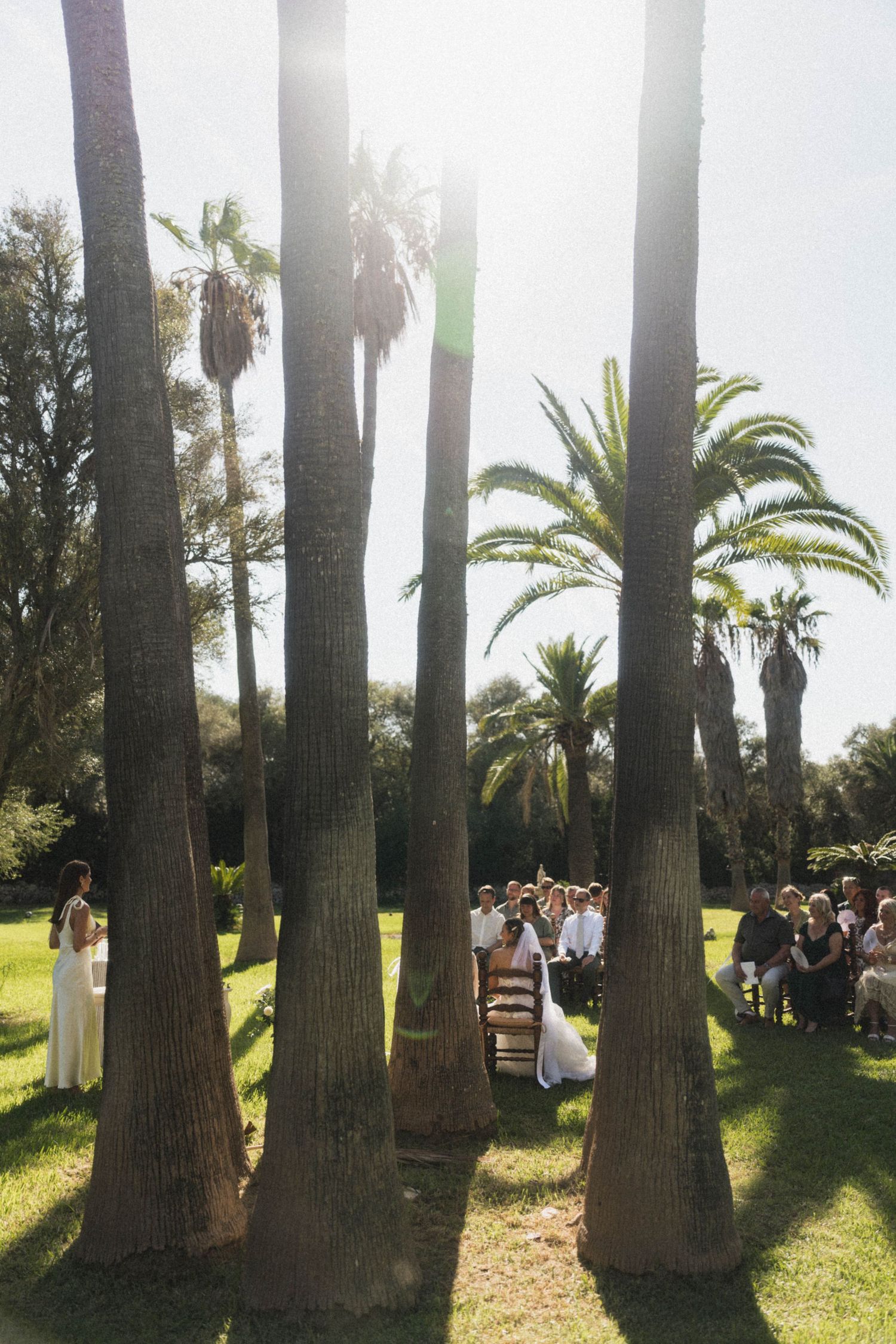 Sunlit outdoor wedding ceremony viewed through tall palm tree trunks with guests seated on green lawn.