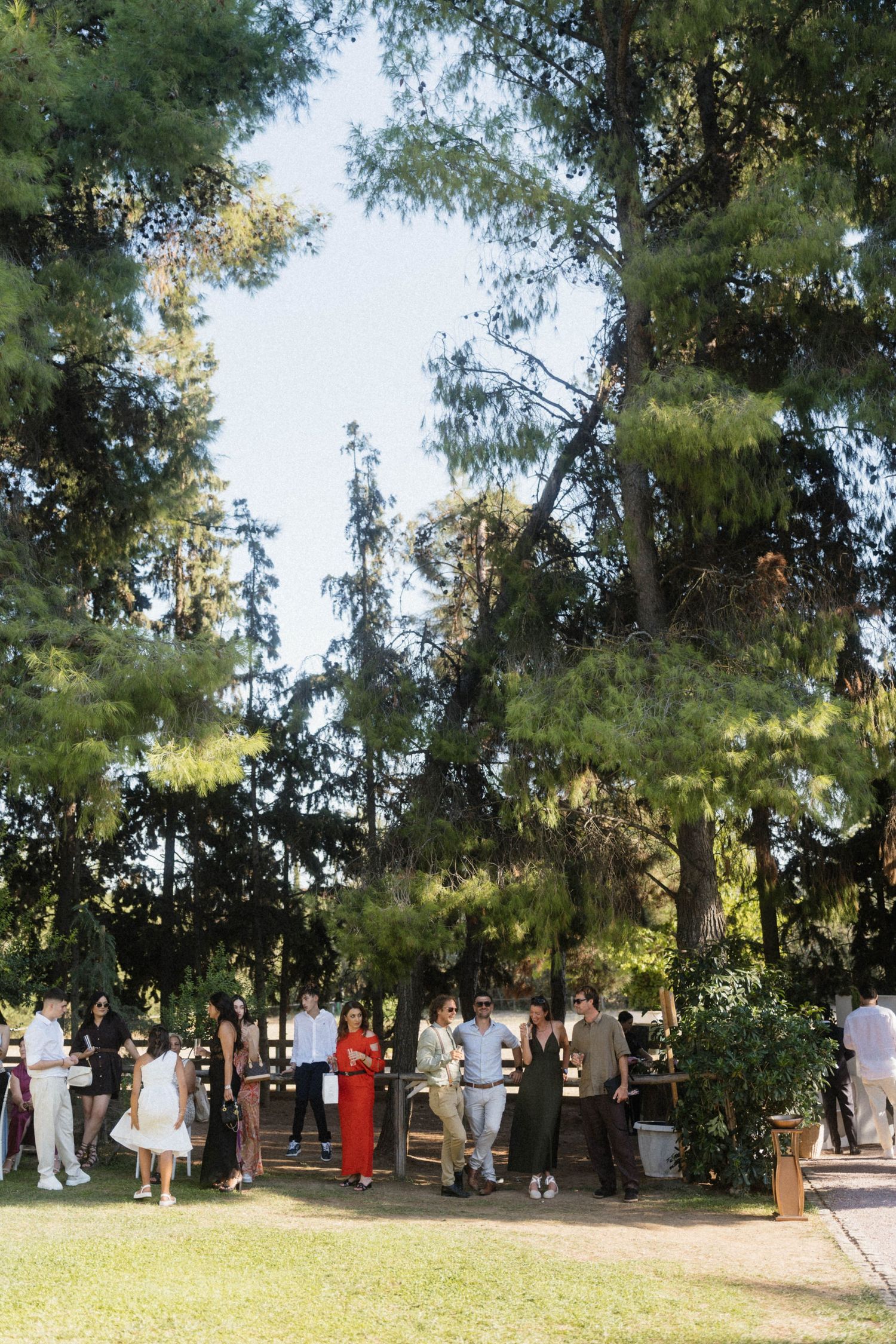Guests mingle outdoors at an elegant garden wedding reception surrounded by tall pine trees on a sunny day.