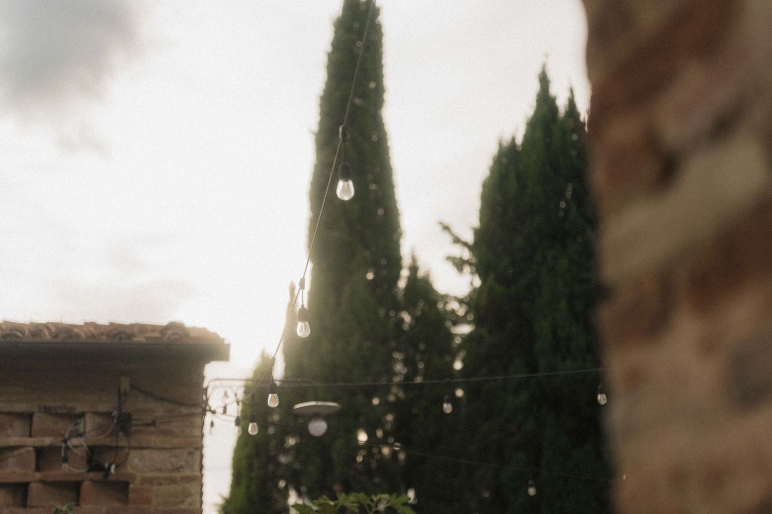 String lights hanging between rustic stone walls with tall cypress trees glowing in golden sunset light.