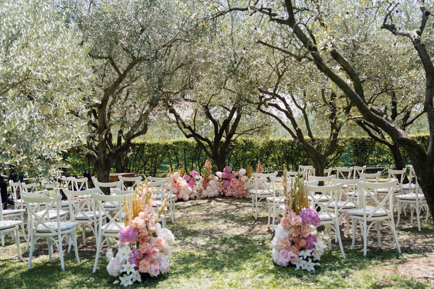 Outdoor wedding ceremony setup with white chairs and pink floral arrangements under olive trees in a garden.