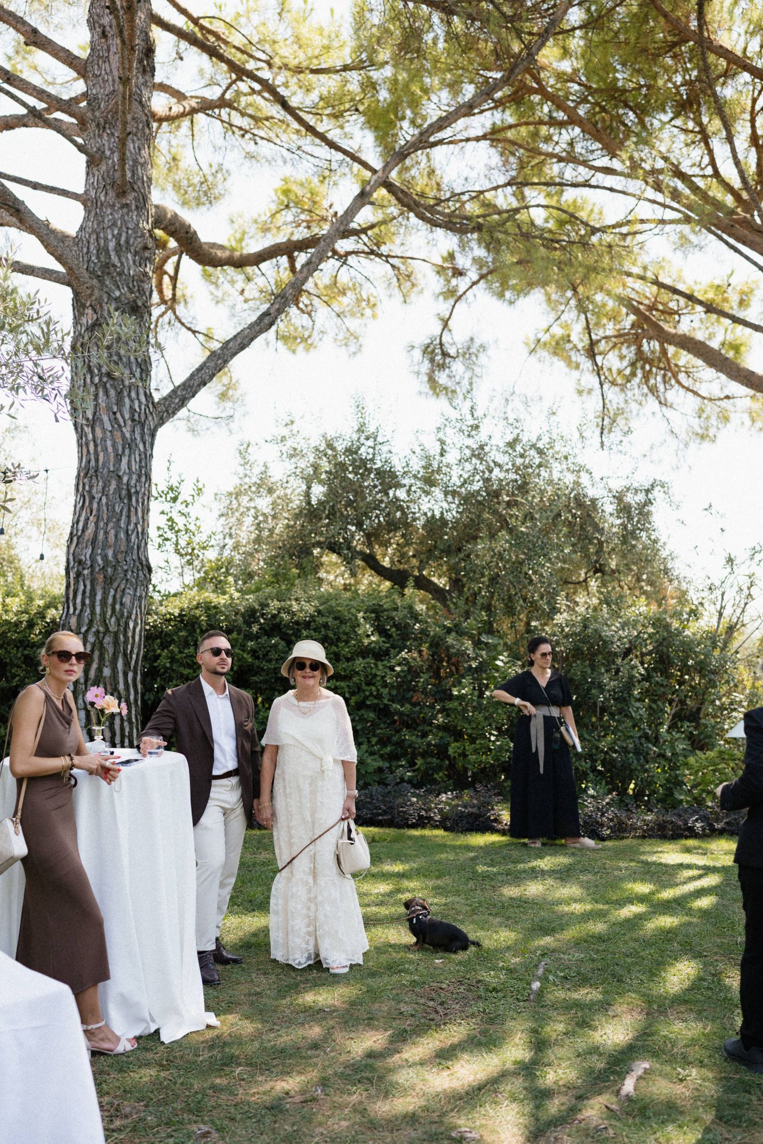 Elegant outdoor wedding cocktail hour with guests mingling on green lawn surrounded by tall pine trees.