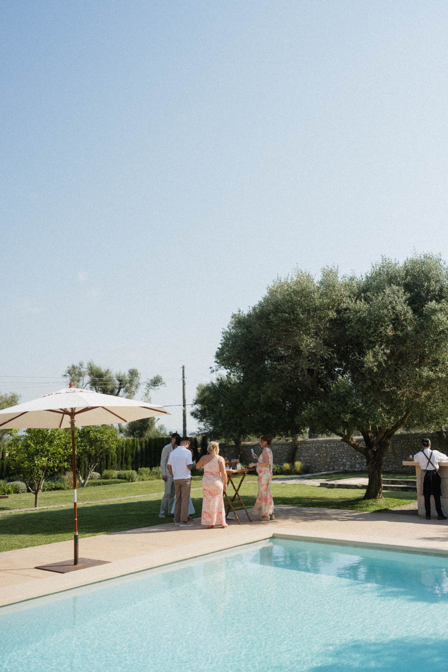 Guests socializing by a sunlit outdoor pool with a patio umbrella and olive trees at an elegant venue.