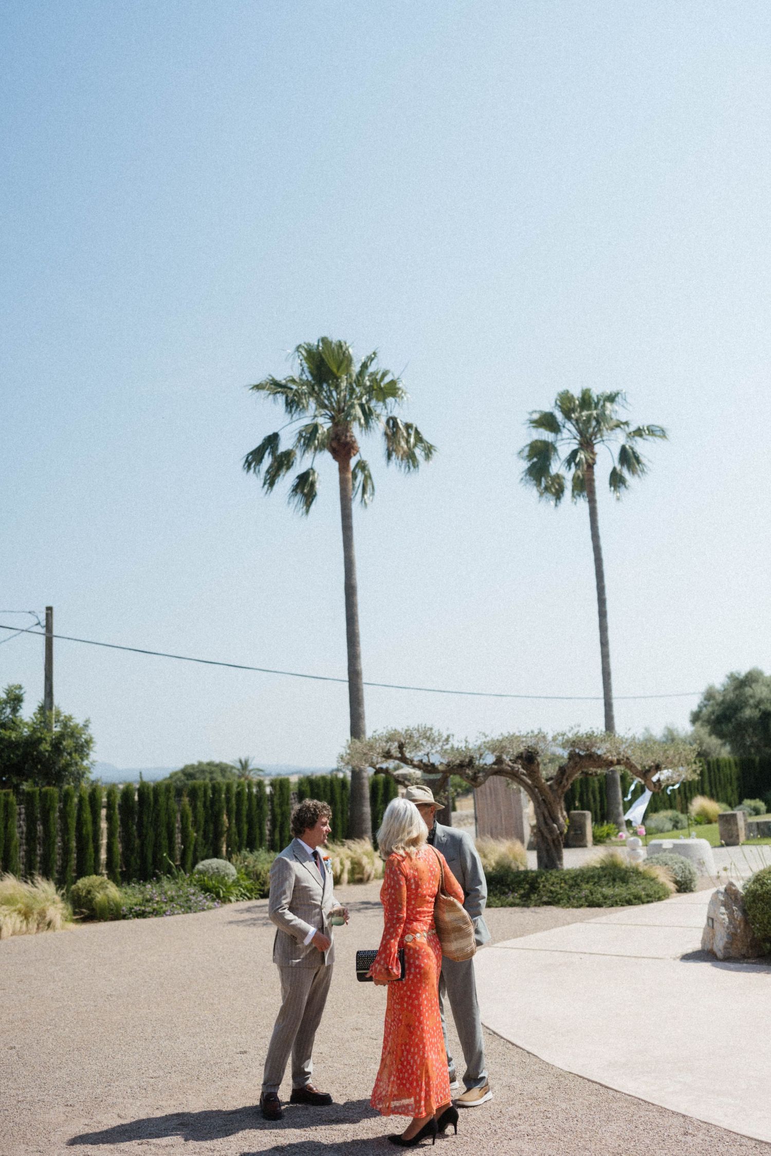 Three elegantly dressed guests converse outdoors near tall palm trees at a sunny Mediterranean wedding venue.