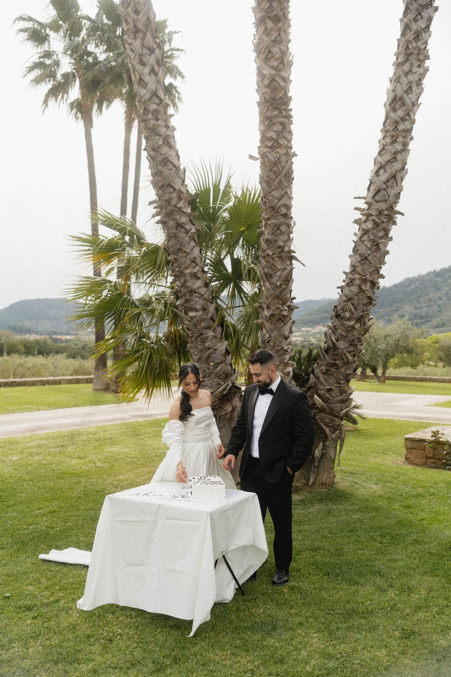 Bride and groom cutting wedding cake outdoors on green lawn with tall palm trees and mountain backdrop.