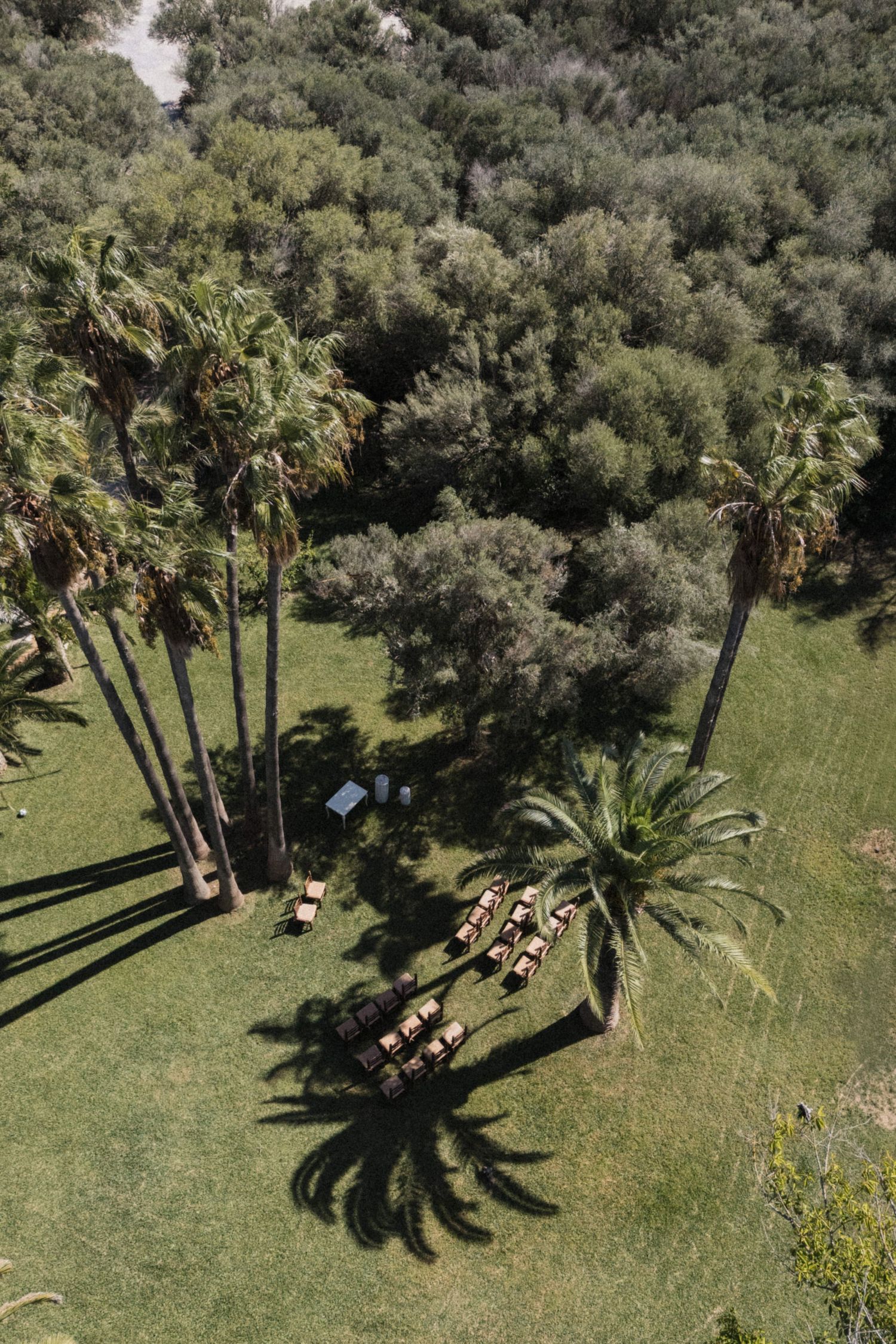 Aerial view of outdoor wedding ceremony setup with chairs among tall palm trees on green lawn.