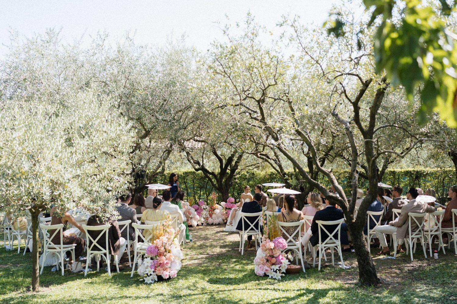 Outdoor wedding ceremony under olive trees with white chairs and pink floral arrangements on a sunny day.