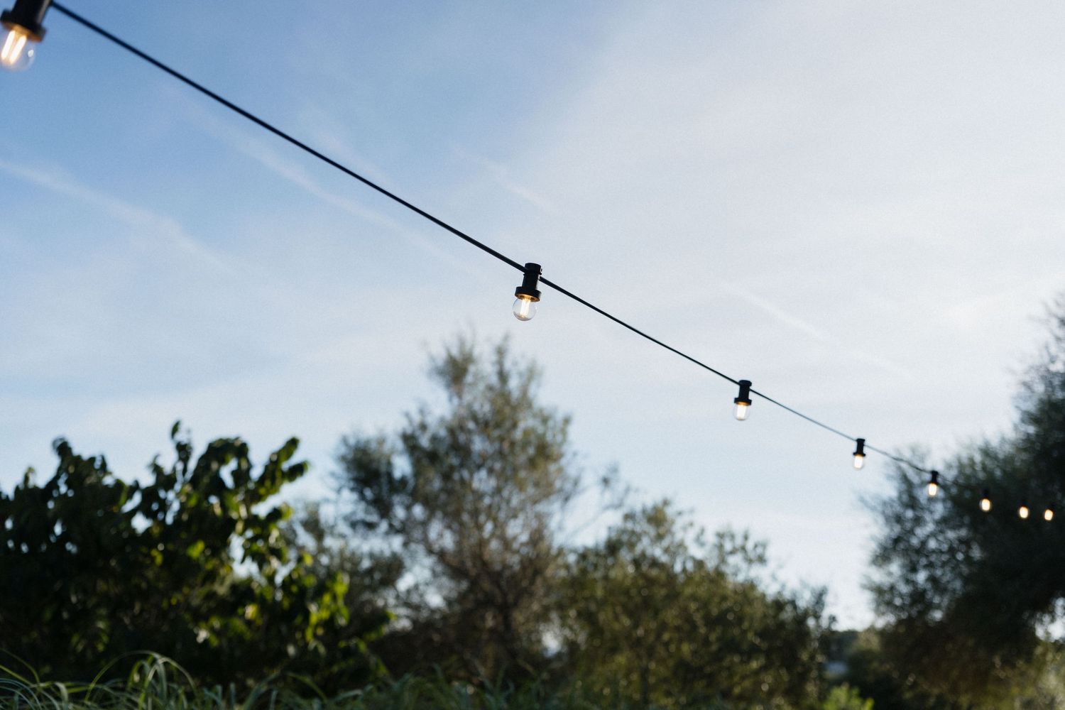 String lights with round bulbs hang across a blue sky with wispy clouds above green trees and shrubs in an outdoor garden.