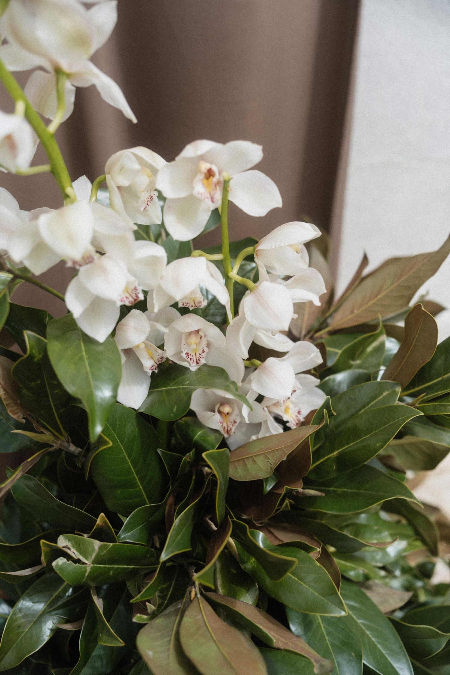 Elegant bridal bouquet of white cymbidium orchids and green laurel leaves against a neutral backdrop.