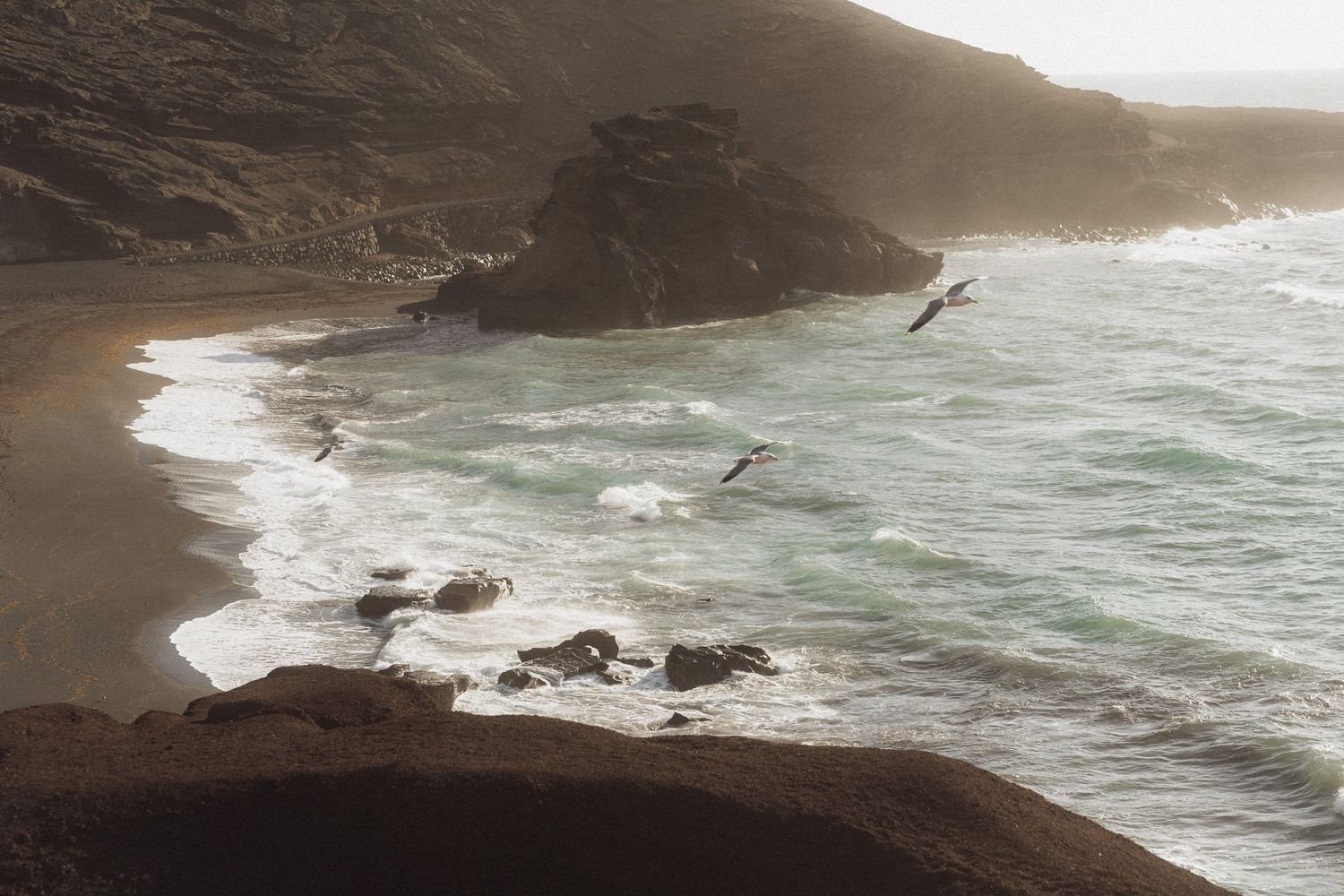 Aerial view of a rugged coastal beach with crashing waves, rocky cliffs, and birds soaring above the shoreline.