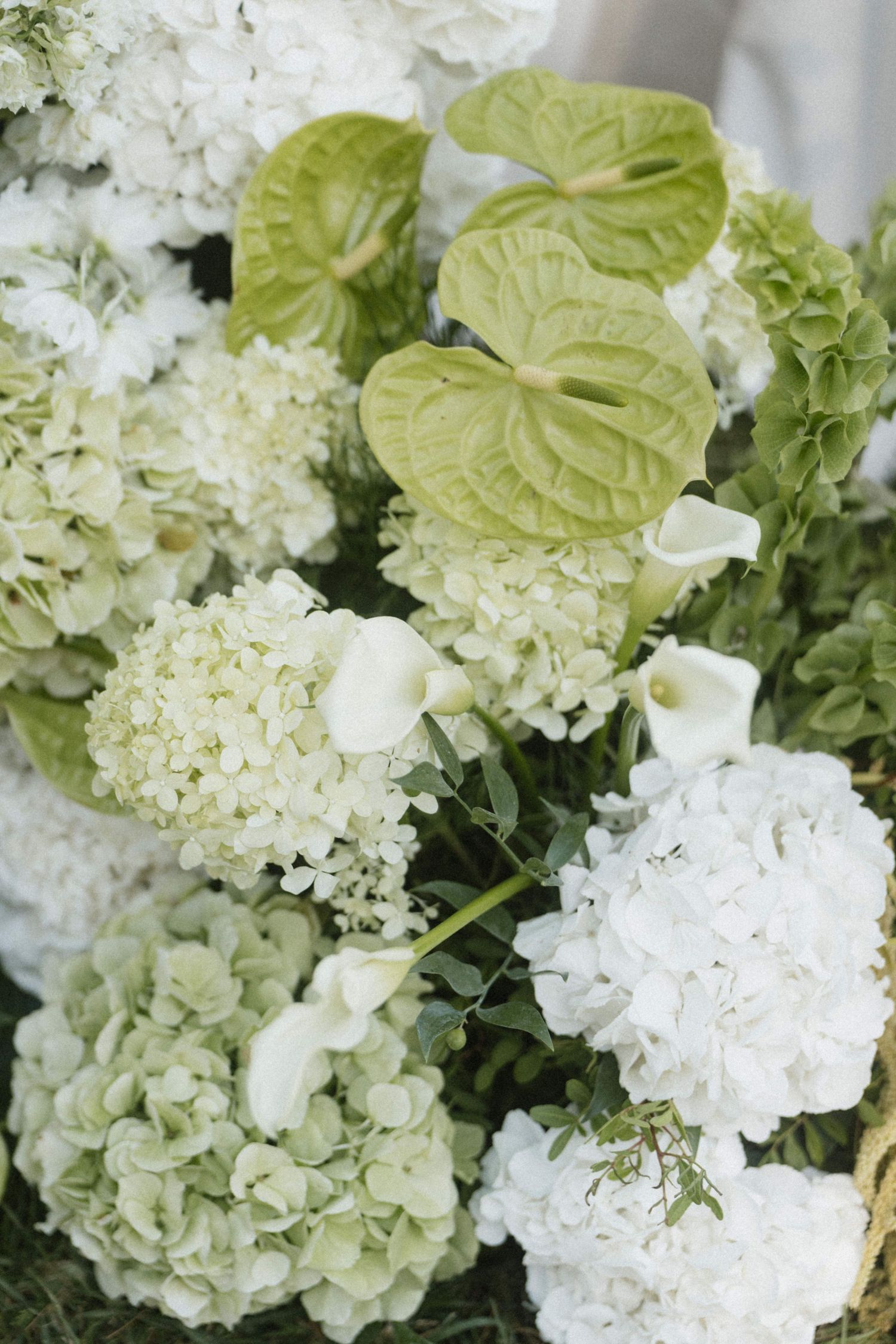 Elegant white hydrangeas and green anthurium flowers arranged in a lush bridal bouquet with calla lilies.