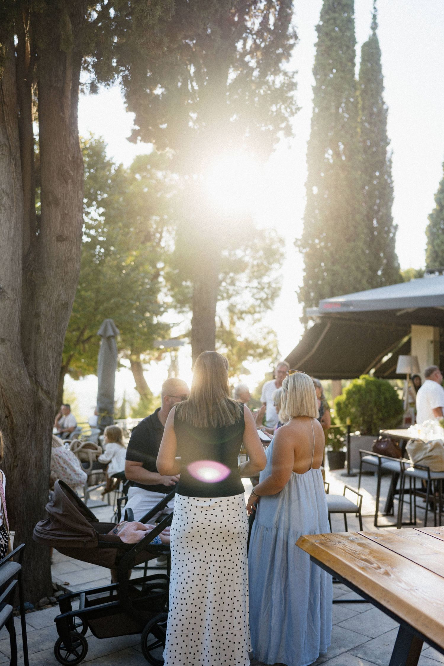 People gathered at an outdoor cafe terrace with tall cypress trees and golden sunlight streaming through.