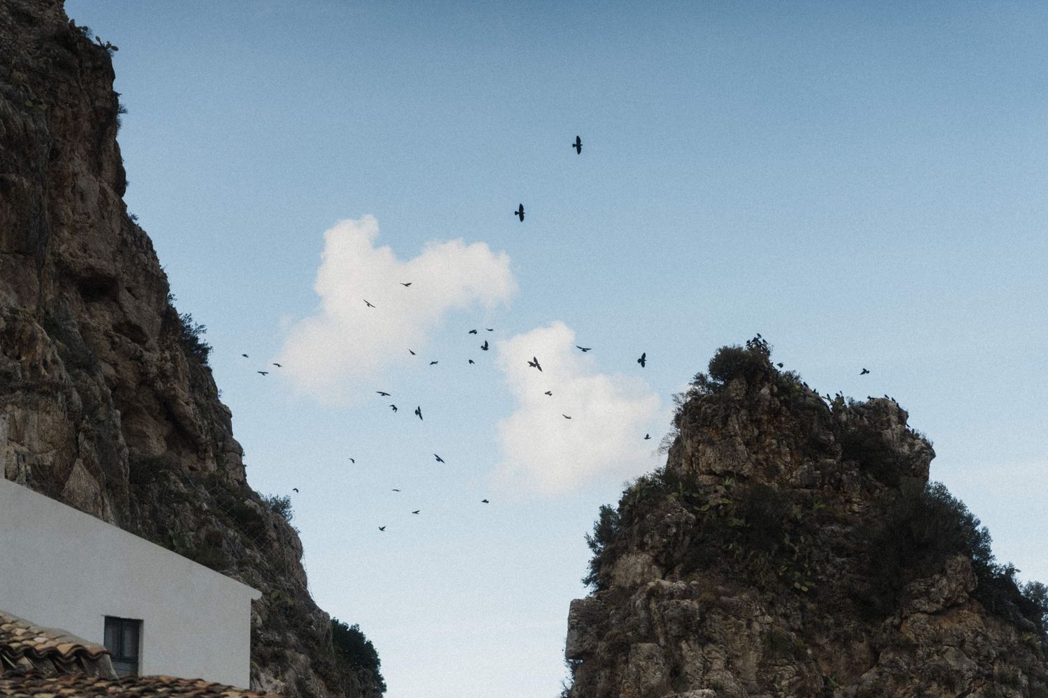 Flock of birds soaring over dramatic rocky cliffs against a blue sky.