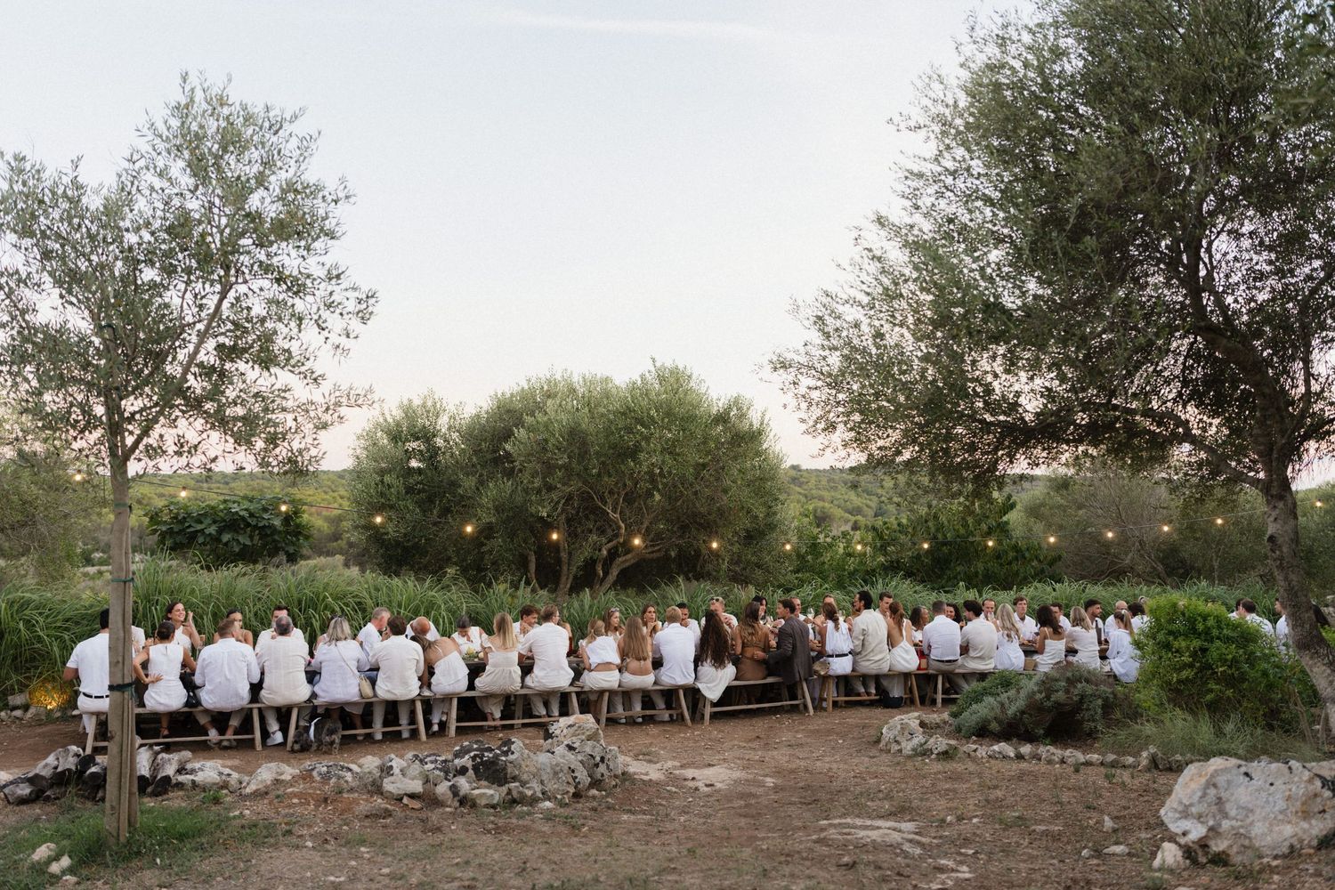 Guests in white sit along a long outdoor banquet table at dusk, surrounded by olive trees and warm string lights in the countryside.