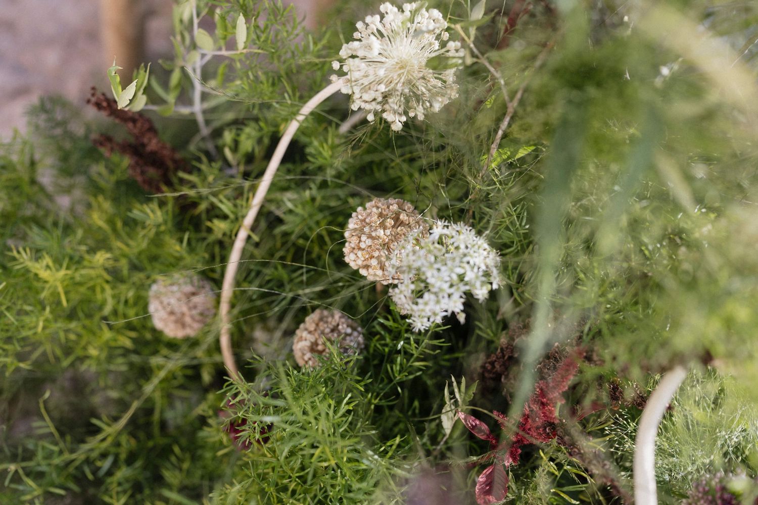 Close-up of delicate white Queen Anne's lace wildflowers and dried seed heads among feathery green foliage in a rustic floral arrangement.
