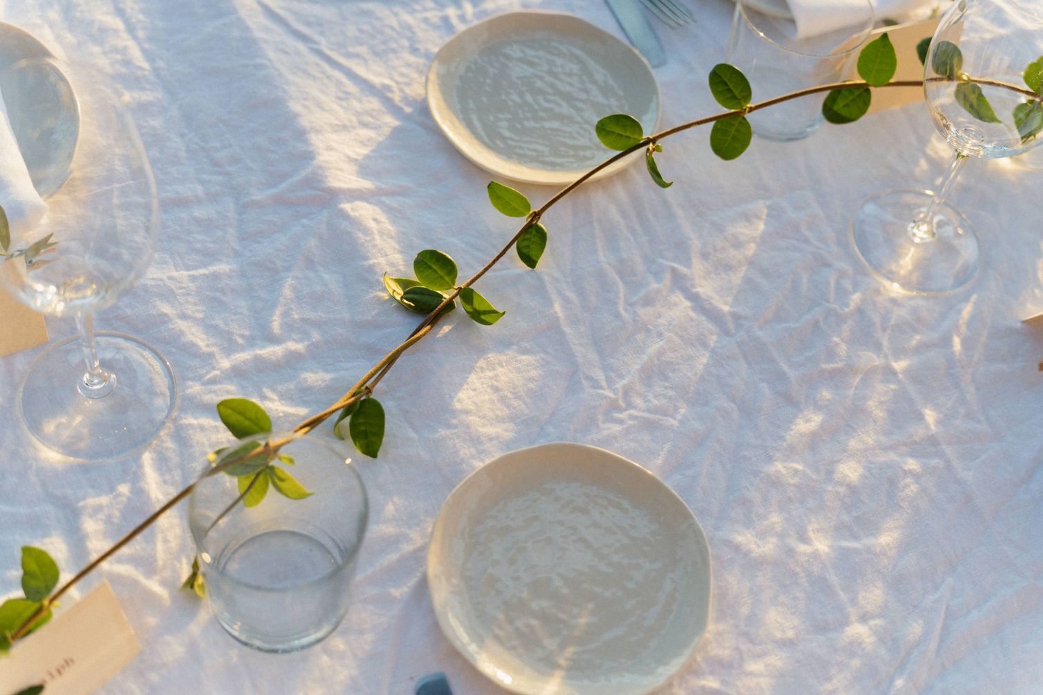 Elegant wedding table setting with white plates, glassware and a trailing green leafy vine on a sunlit linen tablecloth.