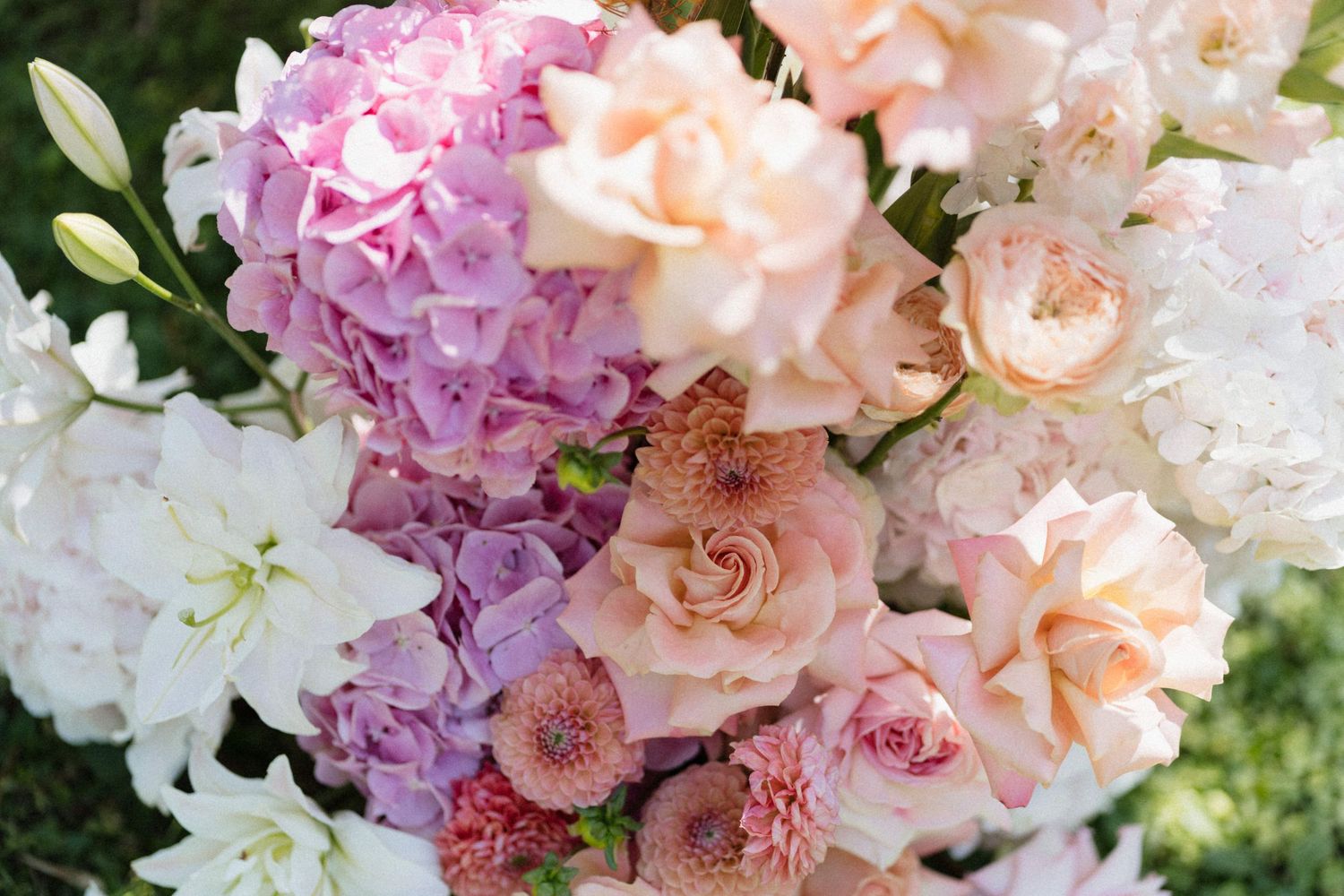 Close-up of a lush bouquet featuring pink hydrangeas, peach roses, white lilies, and blush scabiosa flowers.