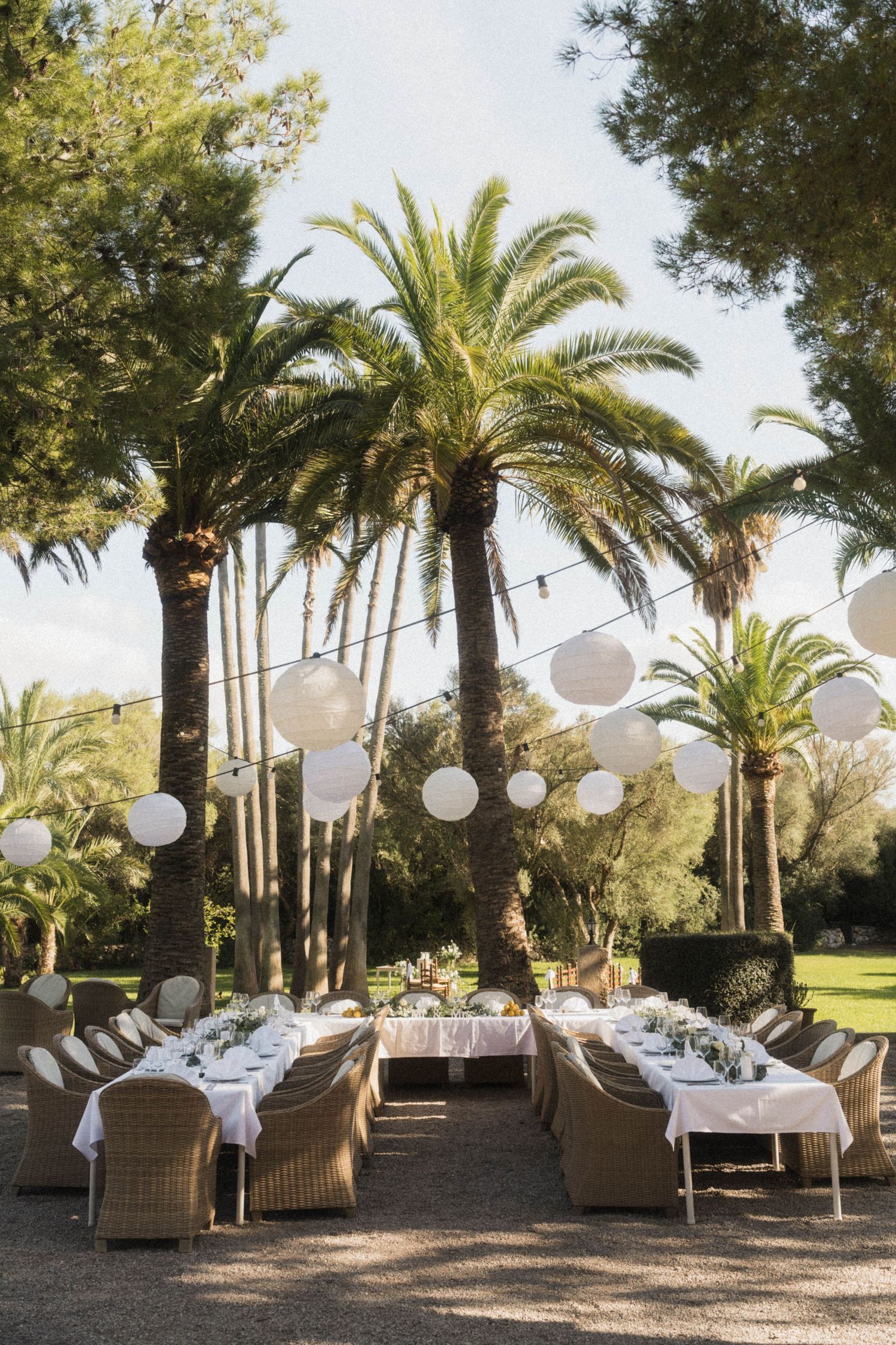 Outdoor wedding reception tables set under tall palm trees with white lantern decorations.