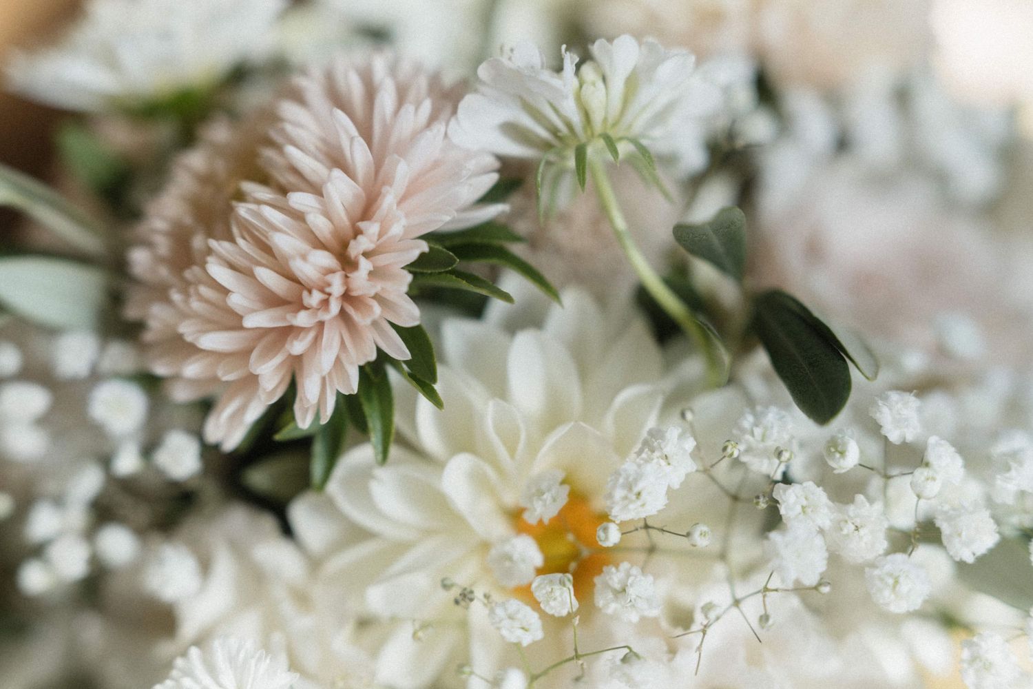 Soft pink and white dahlia flowers with baby's breath in an elegant wedding bouquet arrangement.