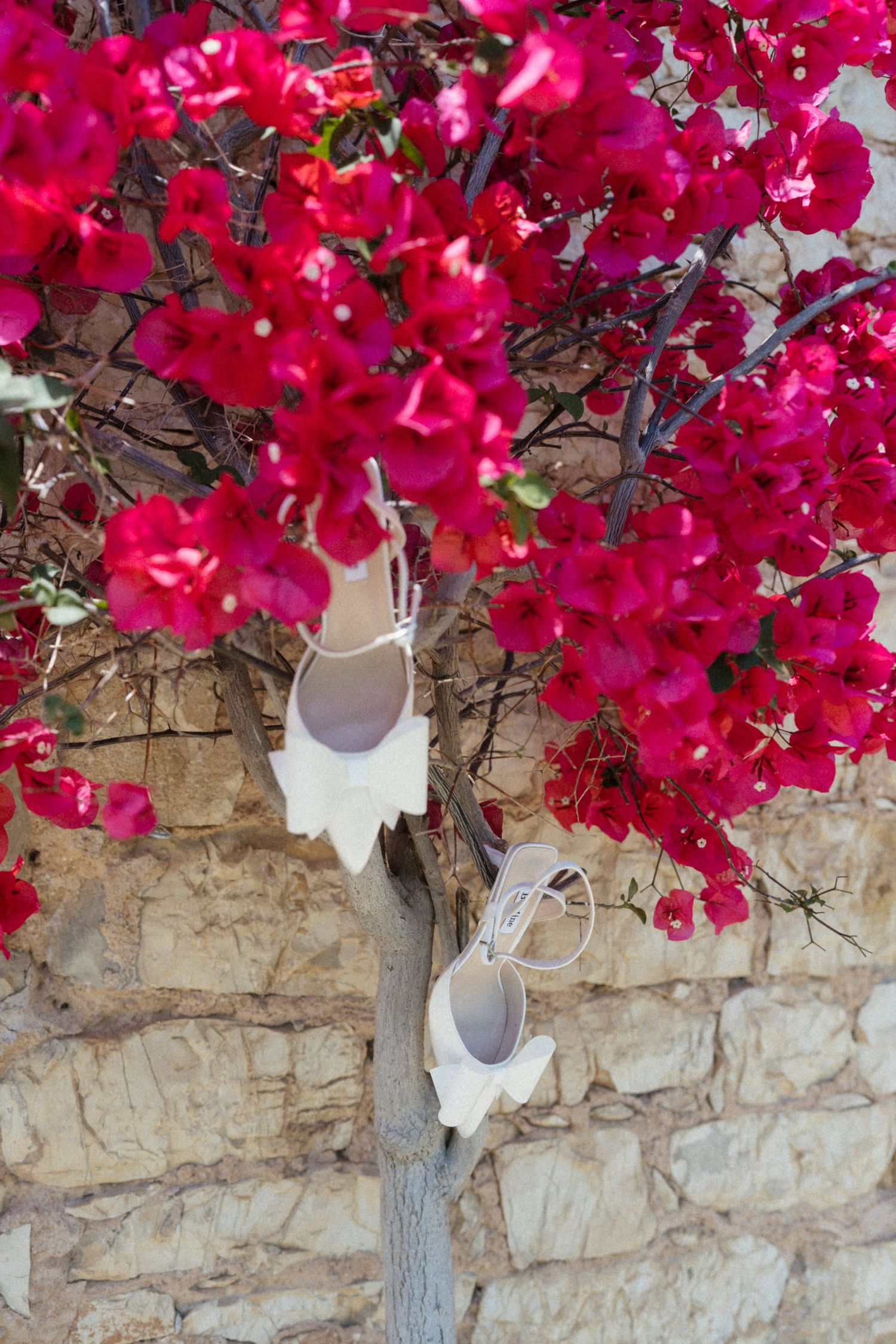 White bridal heels hanging from a vibrant bougainvillea tree with bright pink flowers against a stone wall.