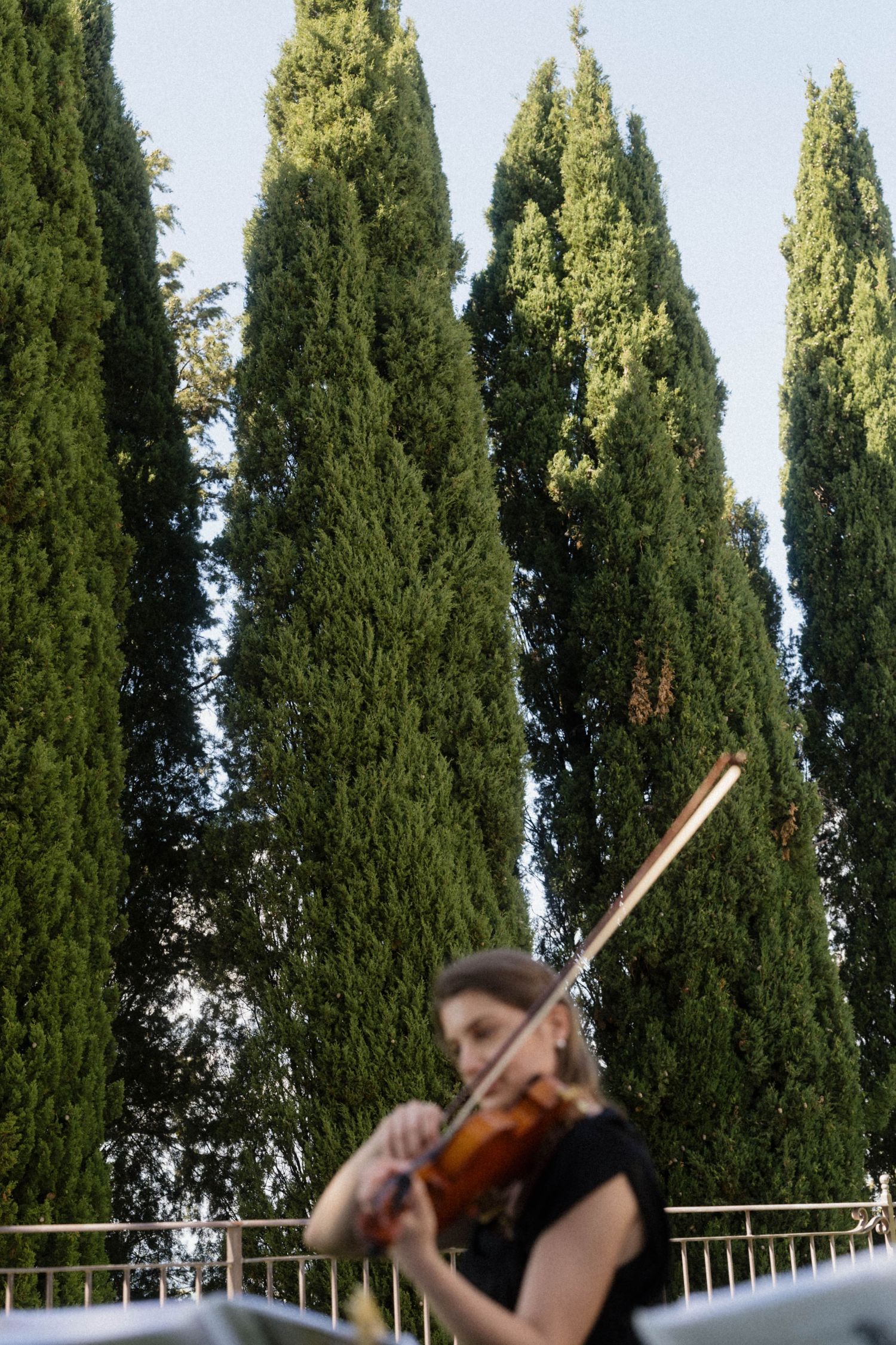 Violinist performing outdoors in front of tall Italian cypress trees at a wedding reception.