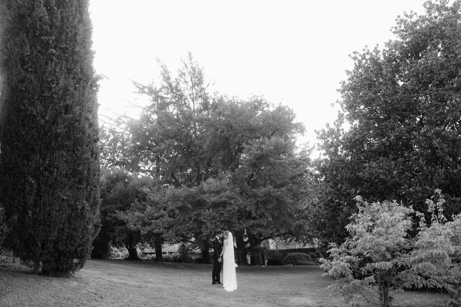 Black and white photo of a bride and groom standing together in a lush garden surrounded by tall trees.