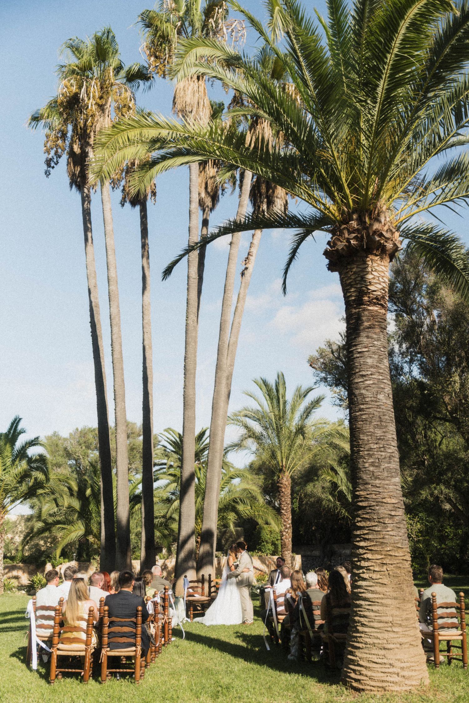 Wedding guests seated outdoors beneath towering palm trees during sunny ceremony.