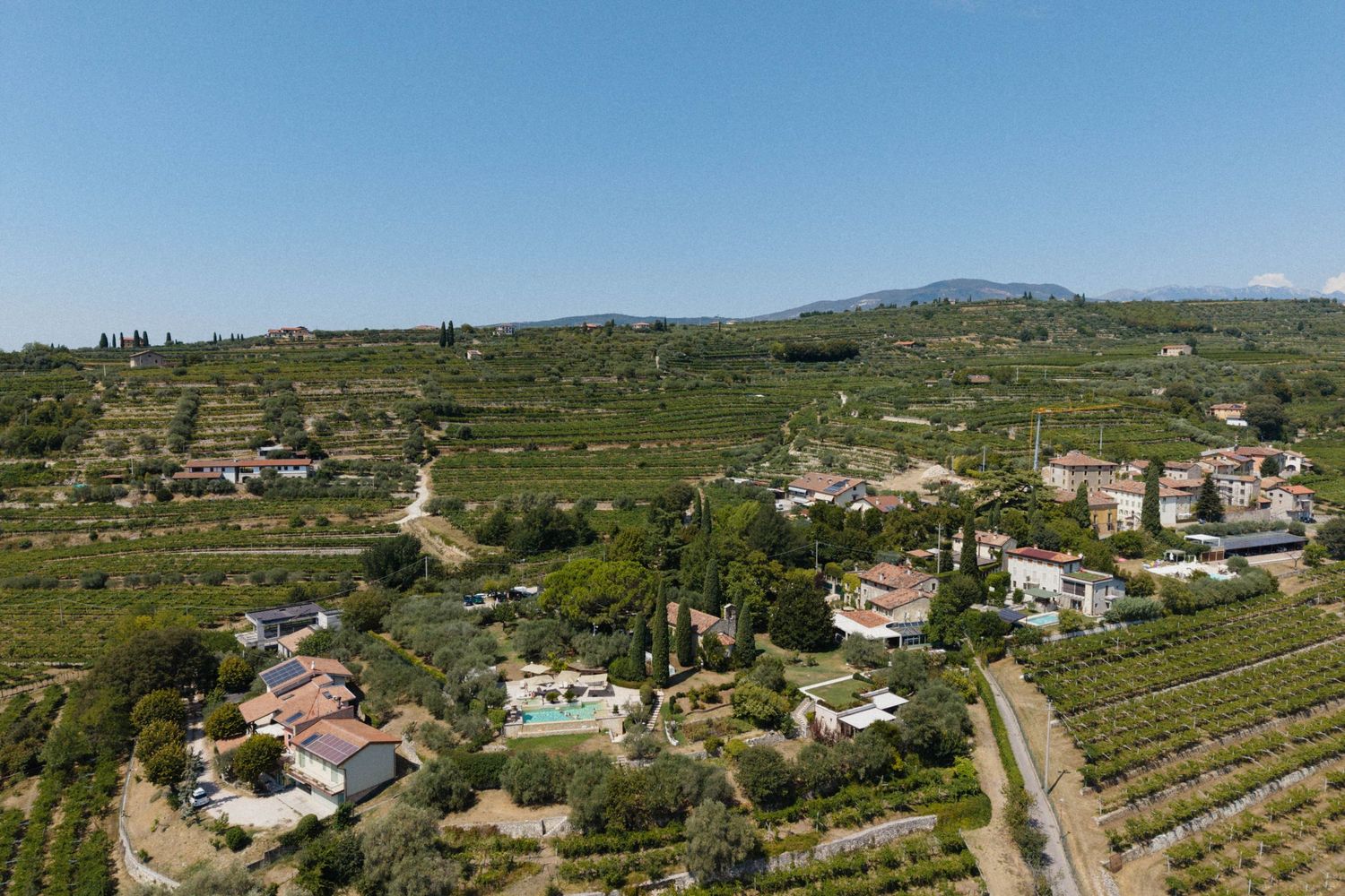 Aerial view of a lush Italian countryside village surrounded by vineyards and olive groves under a clear blue sky.