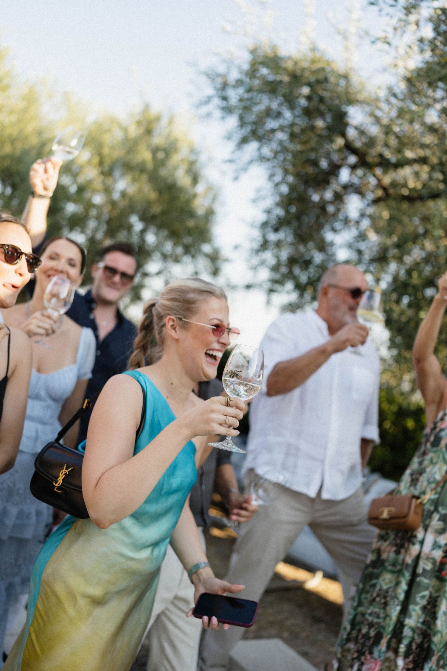 Group of cheerful guests celebrating outdoors, raising wine glasses in a sunny garden party setting.