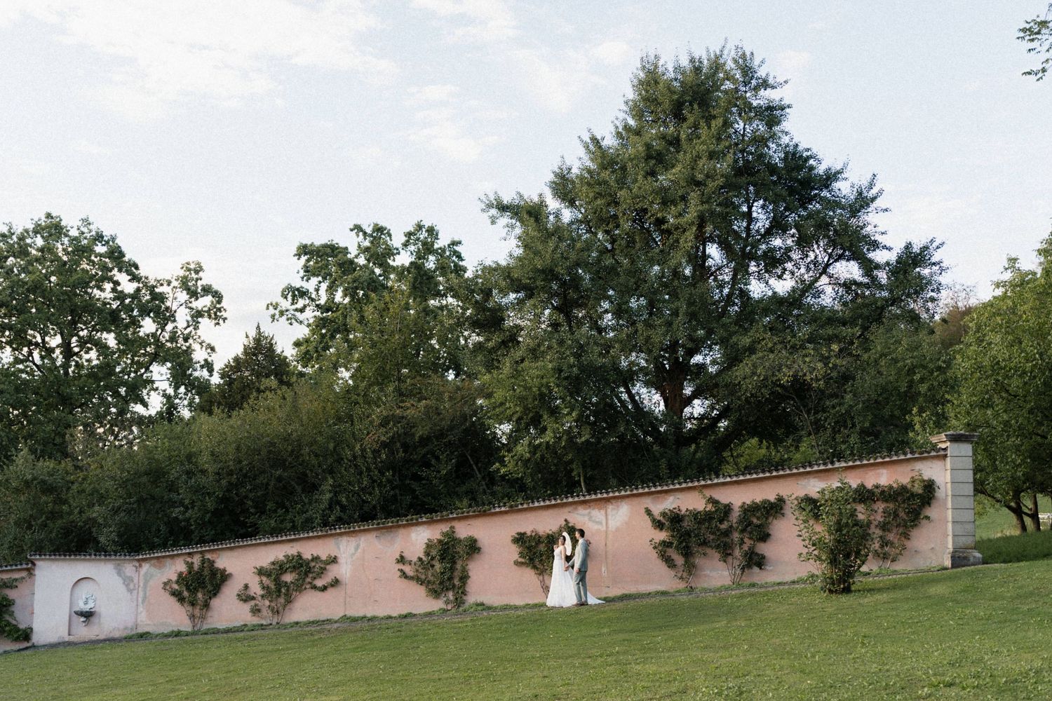 Wedding couple sharing a romantic kiss beside a rustic pink garden wall surrounded by lush green trees.
