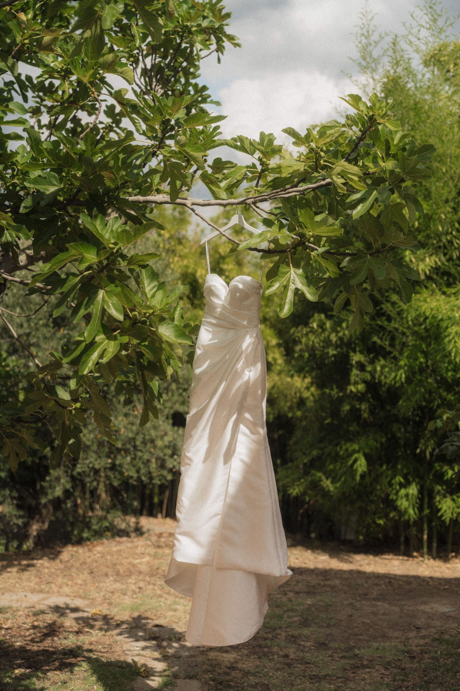 Elegant white wedding dress hanging from a tree branch in a lush green garden on a sunny day.