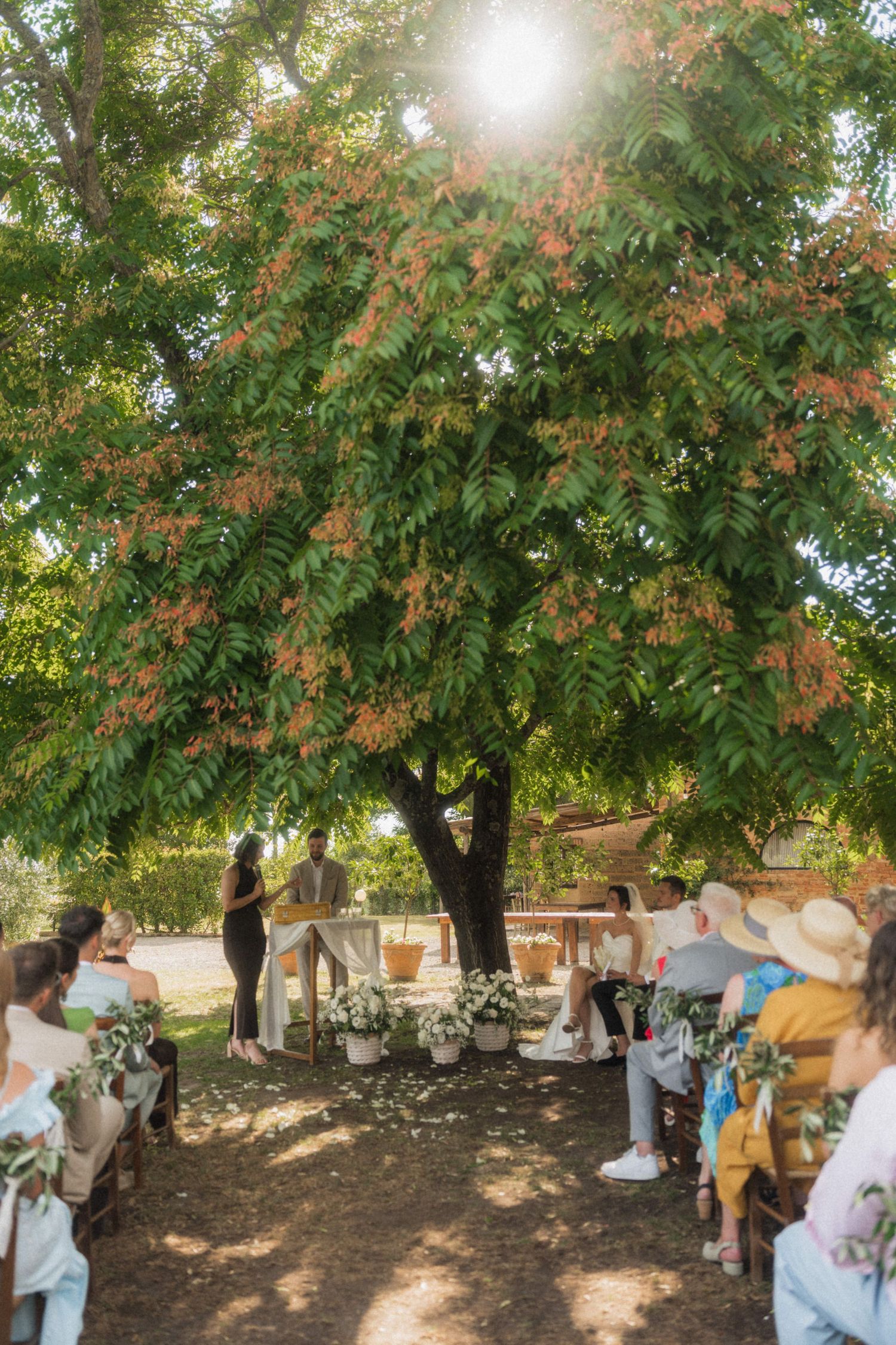 Outdoor wedding ceremony under a large tree with guests seated in dappled sunlight.