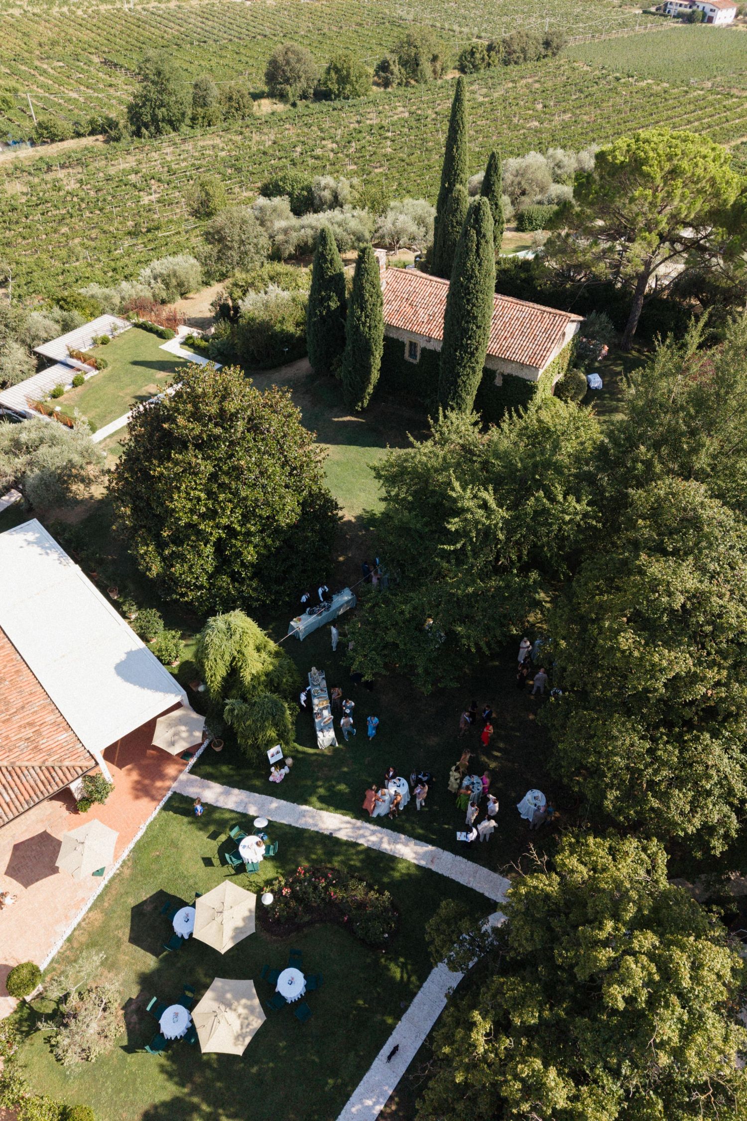 Aerial view of a Tuscan villa garden party with guests gathered among cypress trees, surrounded by vineyards.