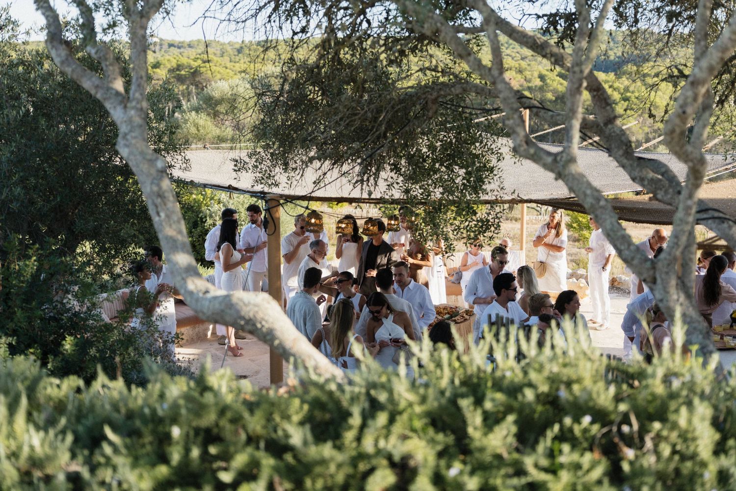 Guests dressed in white gather outdoors beneath a large tree with sprawling branches, surrounded by lush green shrubs on a sunny day.