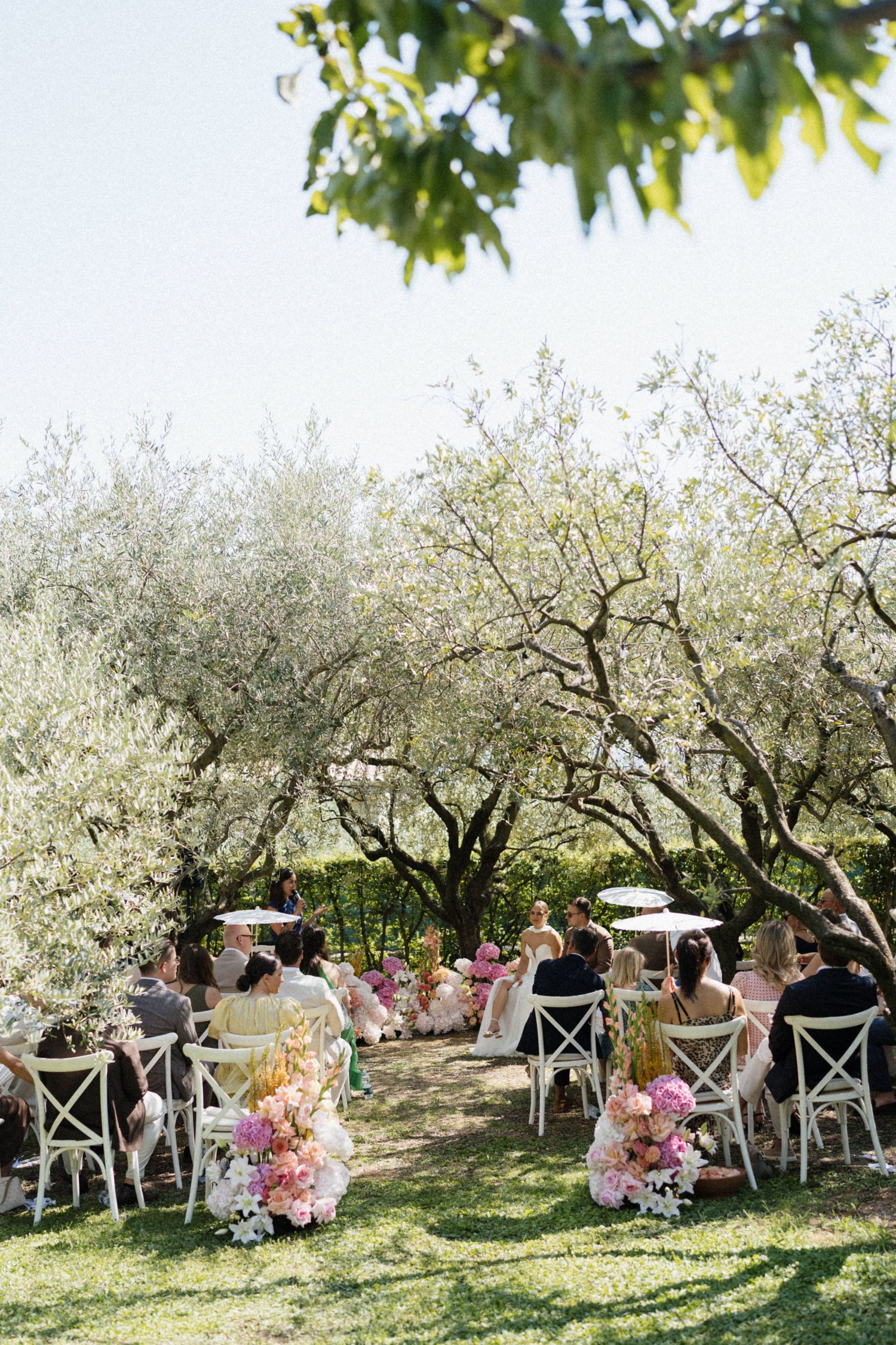 Outdoor wedding ceremony in olive grove with white chairs, pink floral arrangements, and guests seated under blooming trees.