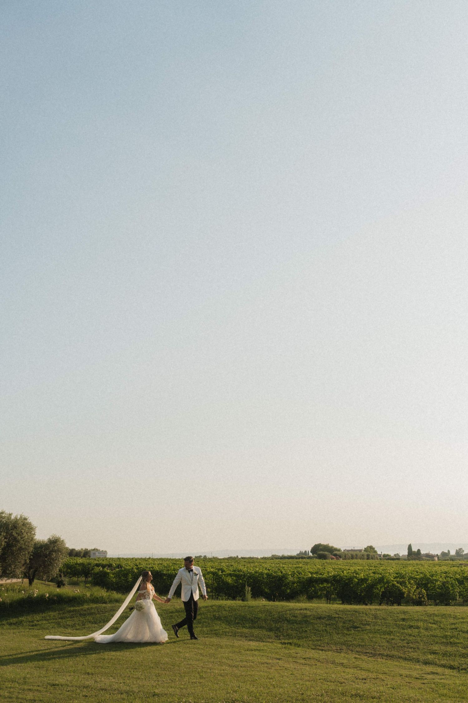 Bride and groom holding hands walking across lush green lawn with vineyard and clear blue sky backdrop.
