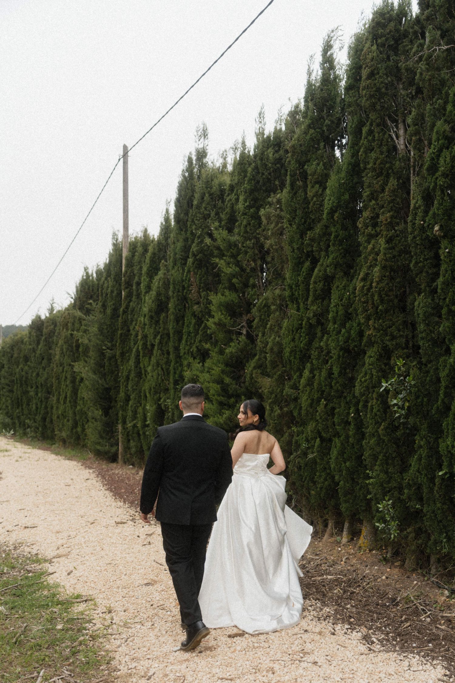Bride and groom walking hand in hand along a gravel path lined with tall cypress trees on their wedding day.