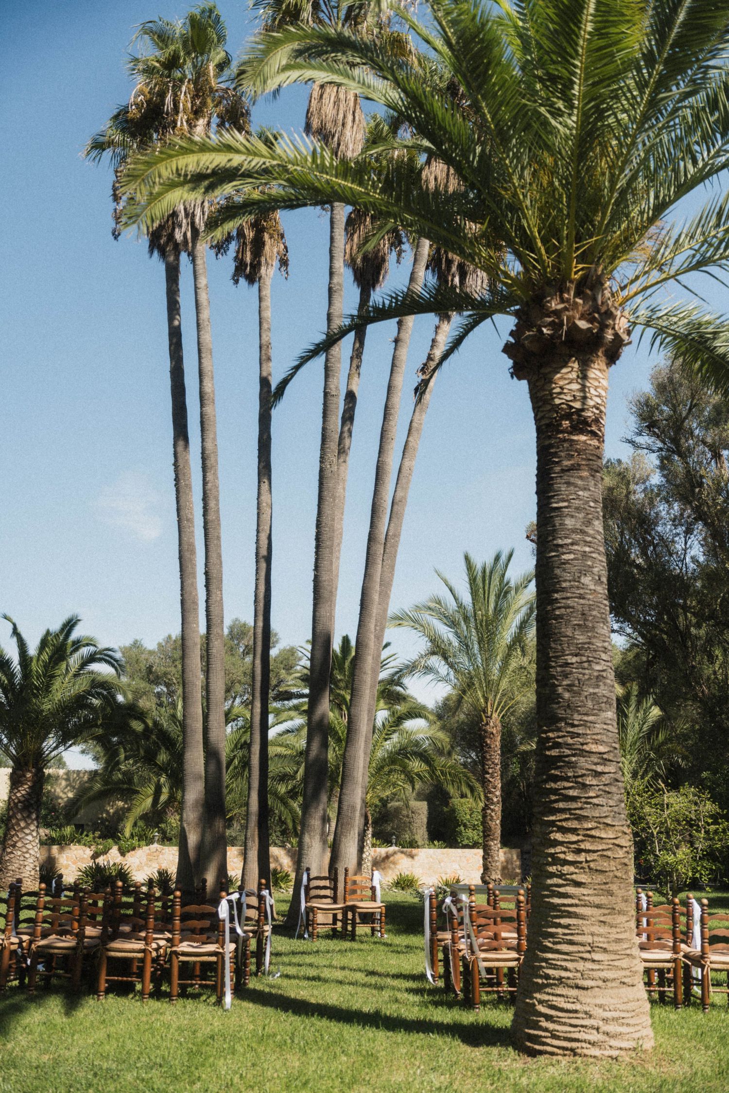 Outdoor wedding ceremony chairs arranged on green lawn surrounded by tall tropical palm trees.