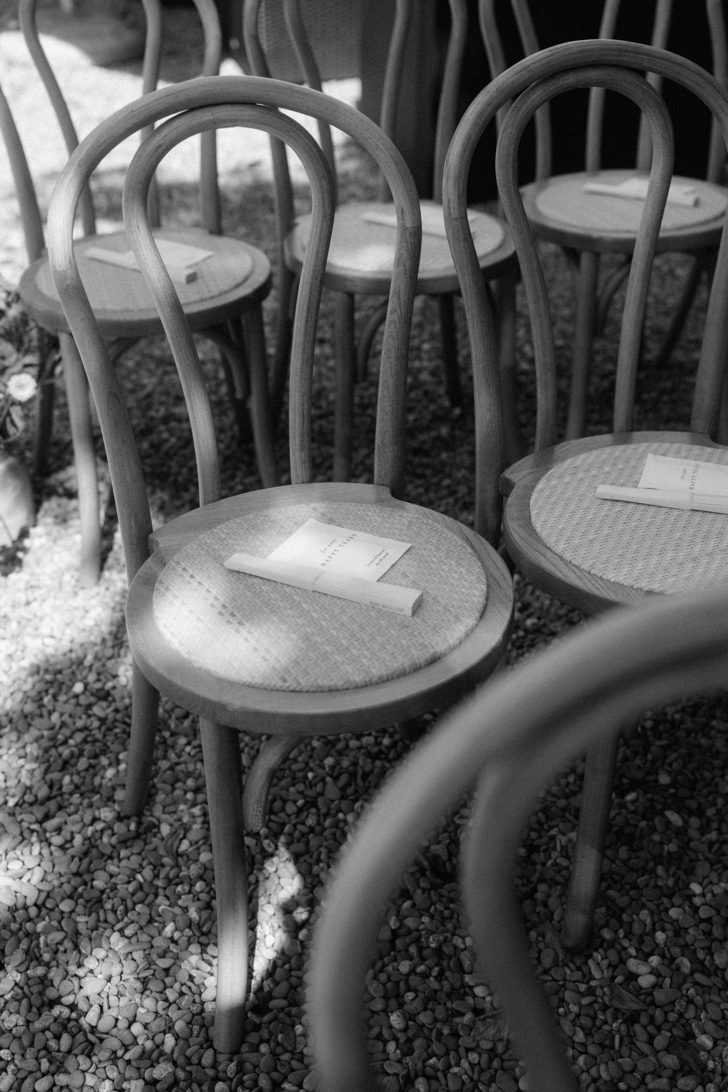 Black and white photo of wooden bentwood chairs with programs on seats arranged for an outdoor wedding ceremony.