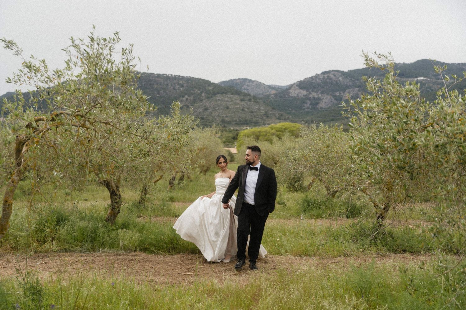 A bride and groom walk hand in hand through an olive grove with scenic mountains in the background.