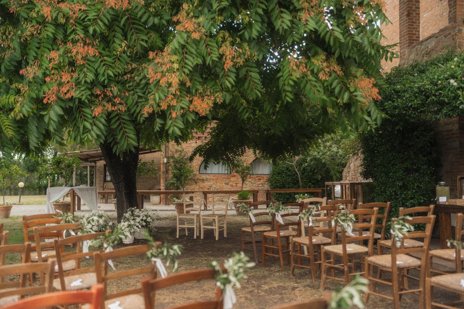 Outdoor wedding ceremony setup with wooden chairs under a large tree in a rustic courtyard venue.