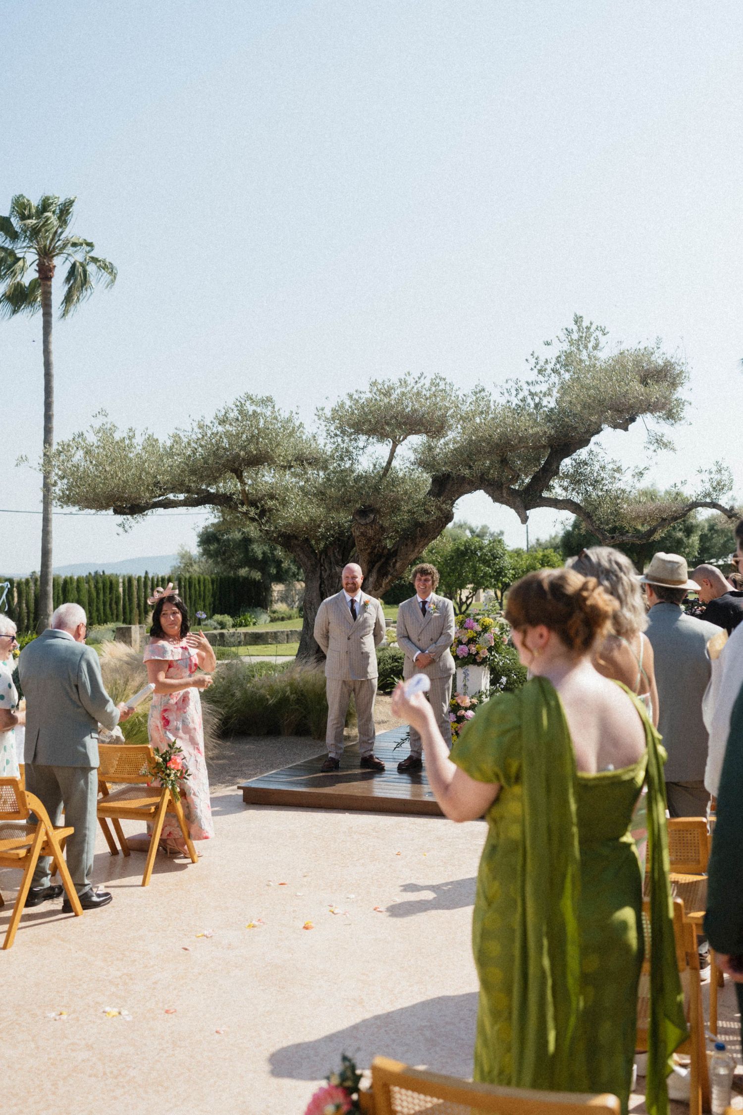 Outdoor wedding ceremony with guests seated on wooden chairs, officiant at altar, large olive tree backdrop.