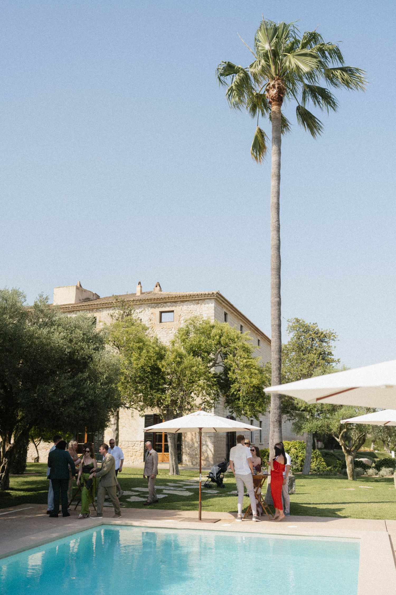 Guests mingle by a pool at a Mediterranean stone villa with a tall palm tree and lush gardens under clear blue skies.