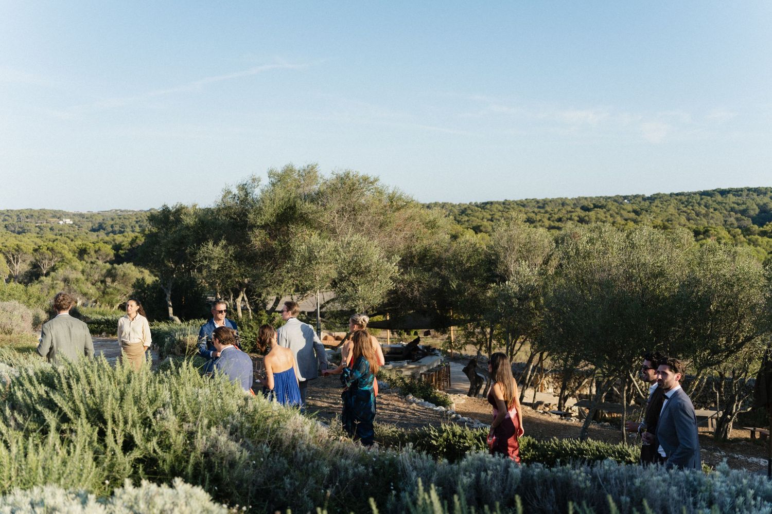 Wedding guests mingling and chatting on a hillside terrace surrounded by olive trees and lush Mediterranean vegetation.
