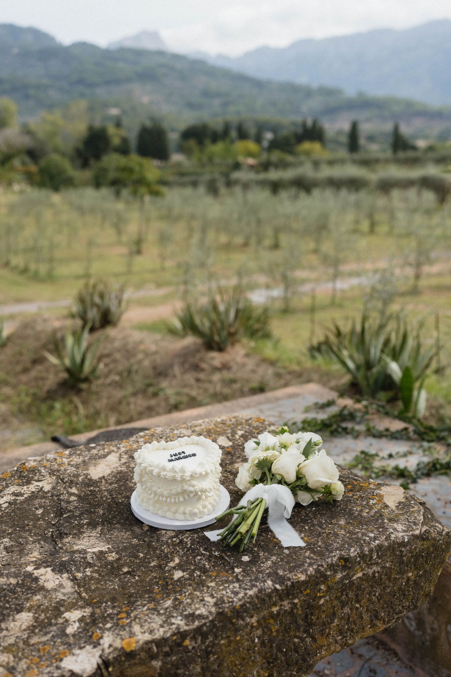 Small white wedding cake and a bouquet of white roses rest on a weathered stone bench overlooking an olive grove and mountains.